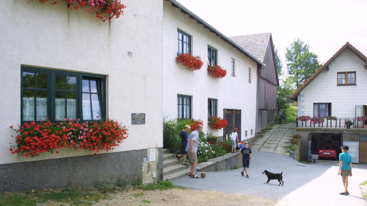 Rappottenstein Ferienhof Stanzl المظهر الخارجي الصورة