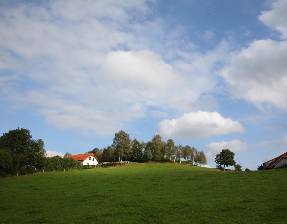 Rappottenstein Ferienhof Stanzl المظهر الخارجي الصورة